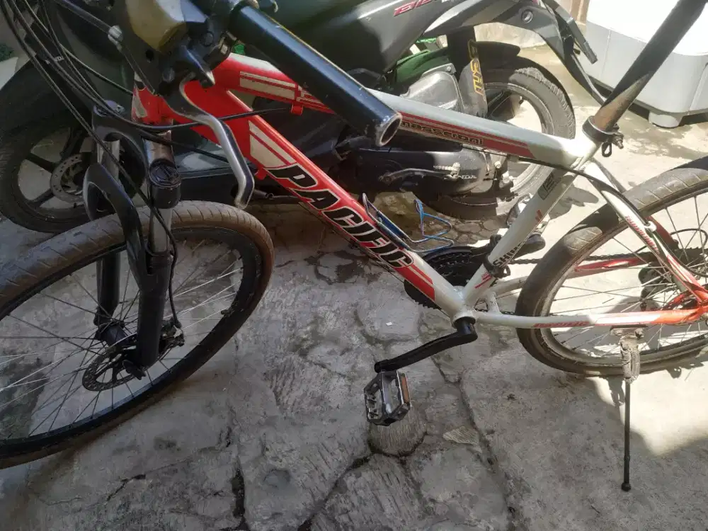 MTB Pacific Masseroni 26 Alloy