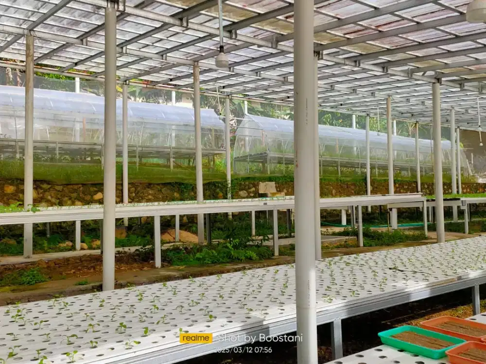 INVESTASI PROPERTI SEKALIGUS BISNIS SIAP JALAN GREEN HOUSE 931 M2 DI SUKAMAKMUR, BOGOR!