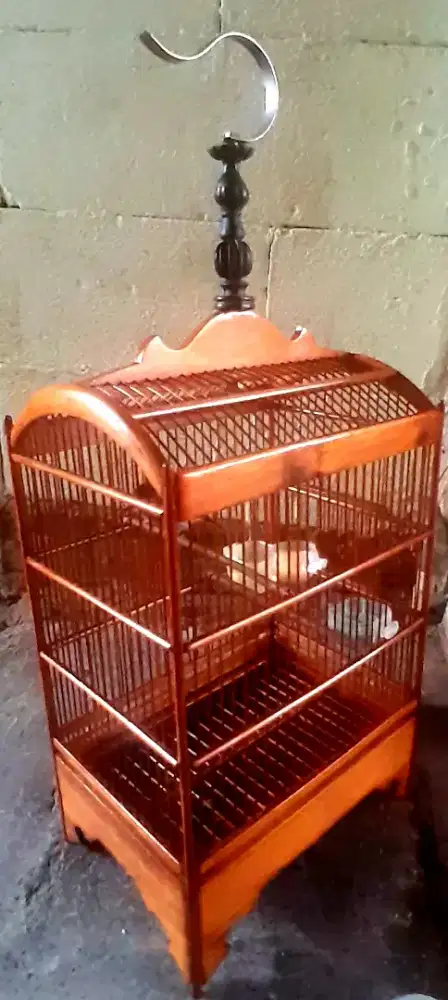 BURUNG CAK JEMPOL BUNYI GACOR UDAH NGOCEH NGEROBIN