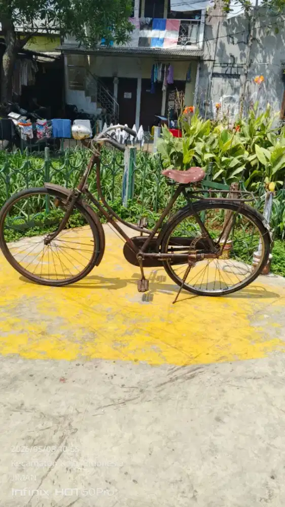 Sepeda Ontel Dames