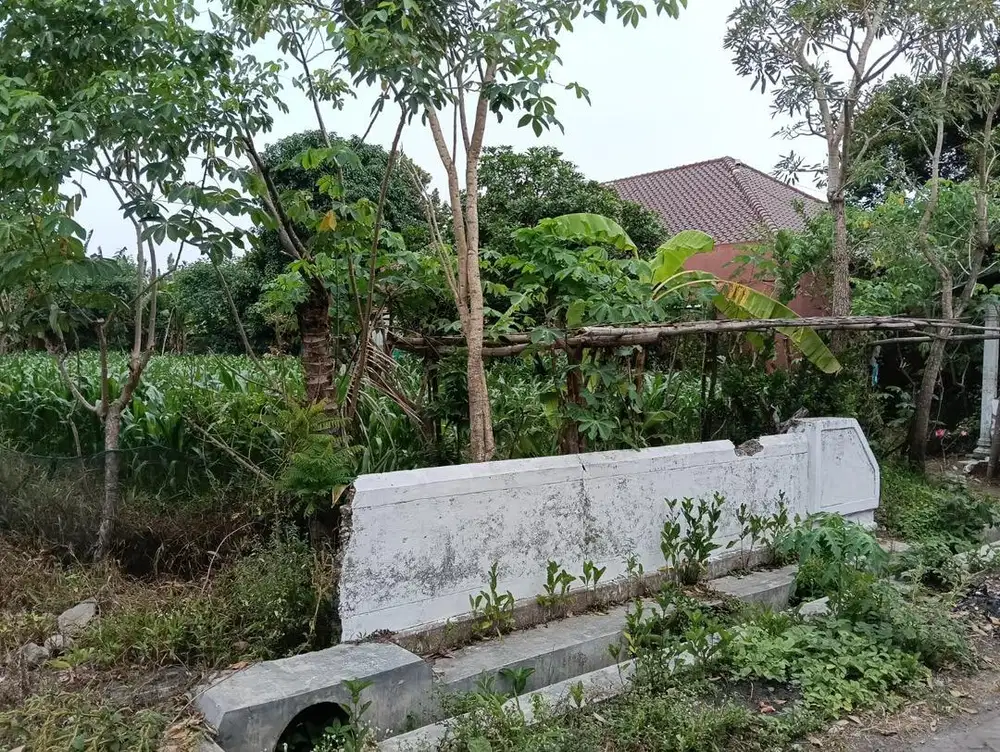 DiJual Tanah Kavling Desa Kayangan Jombang Jawa Timur ( Tebuireng )