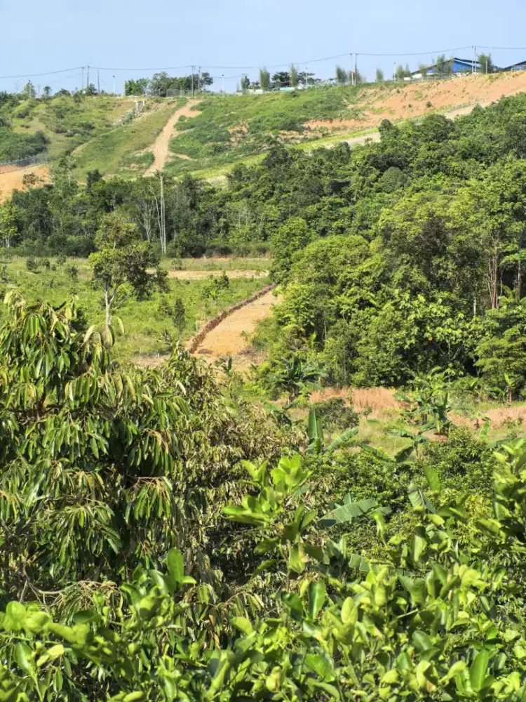 Di jual tanah Luas 22.000M di kilo 13 balikpapan