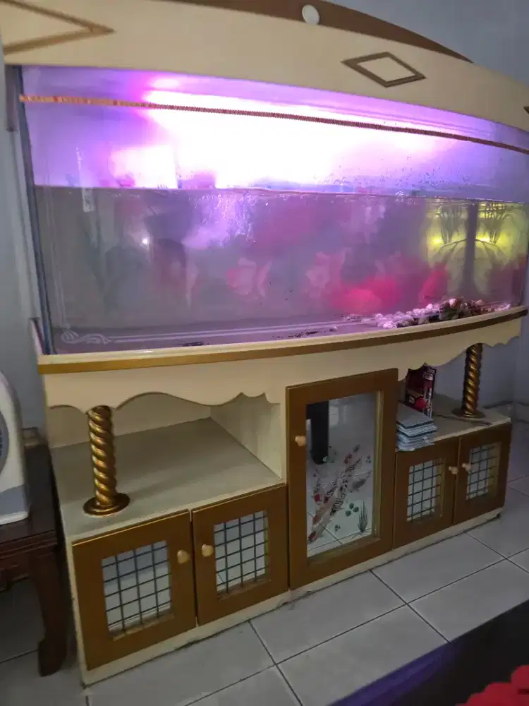 Aquarium ukuran 1,5 m
