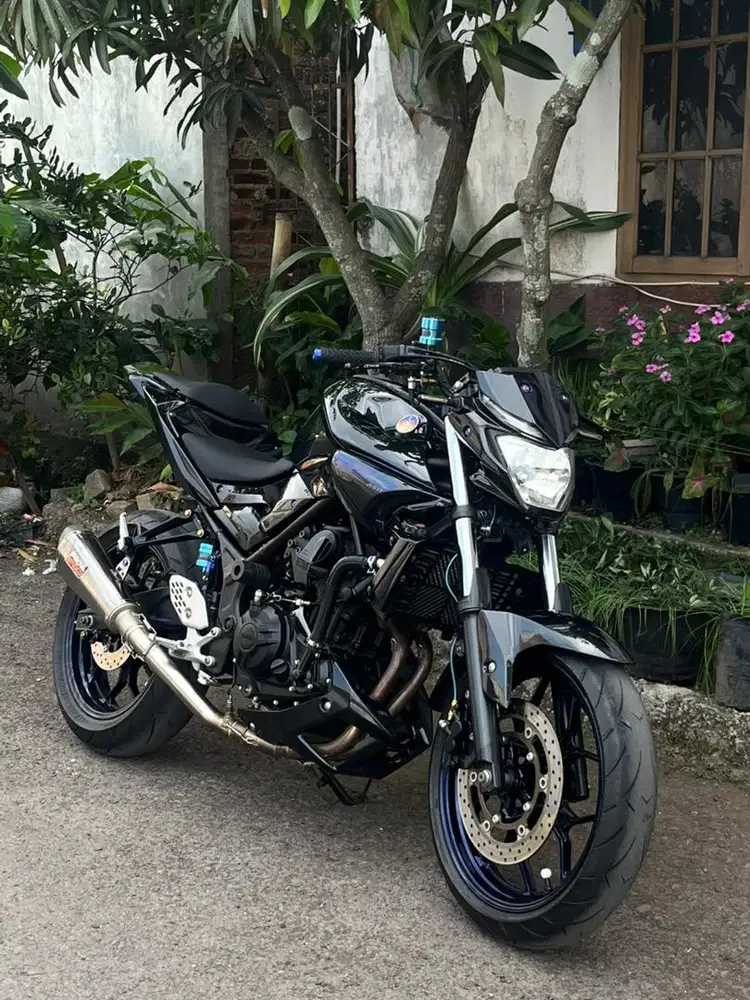 YAMAHA MT-25 FULL MODIF