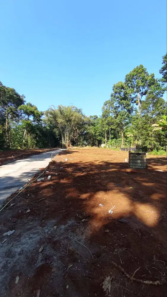 Tanah termurah bisa kpr tanpa bunga di gunung pati