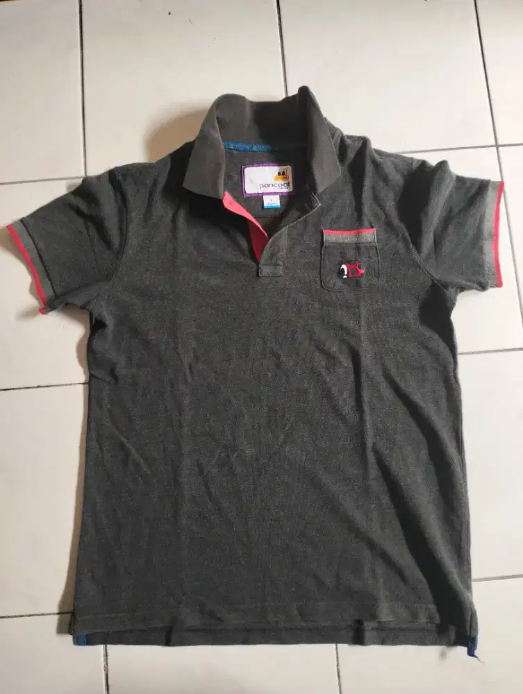 Polo shirt pancoat