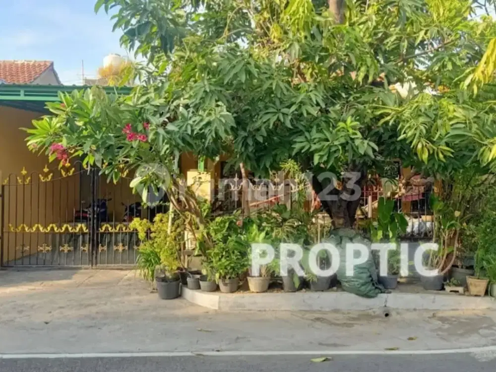 Rumah Rungkut Surabaya - Rm072apd