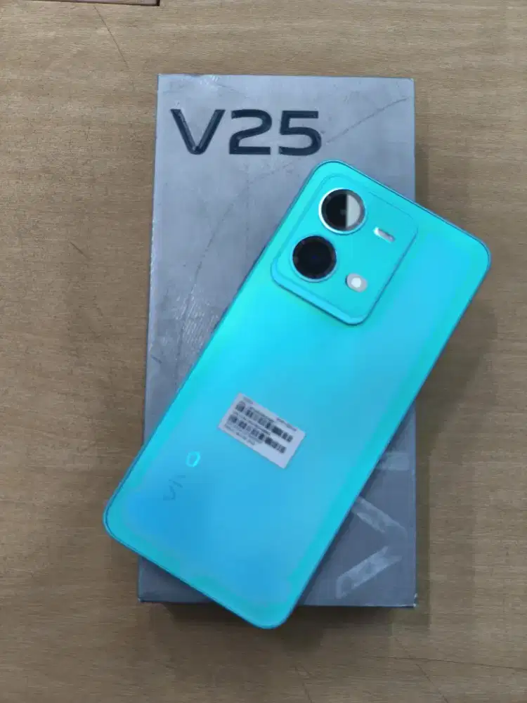 Vivo V25 5G 8/256