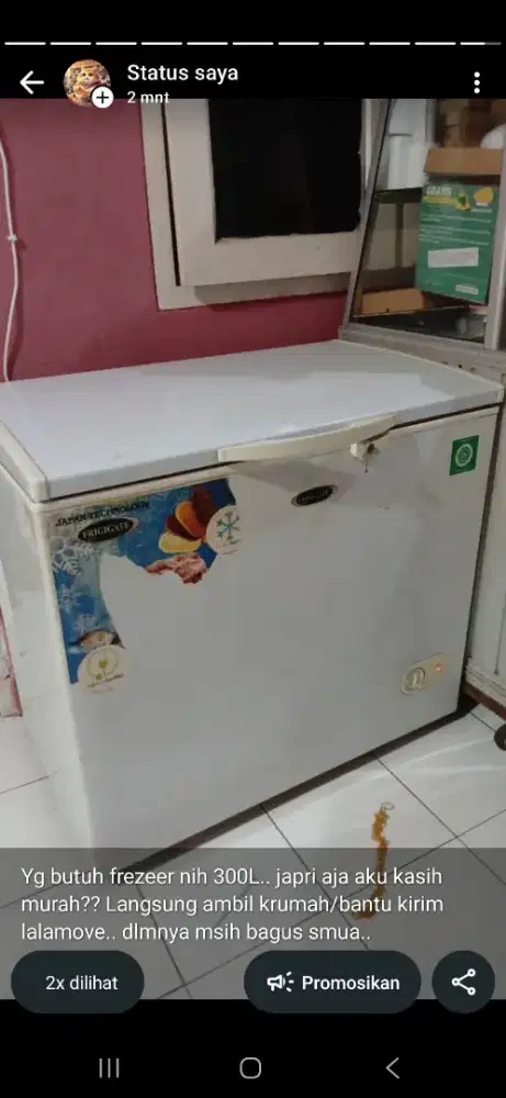 Frezeer 300L frigate BEKU BAGUS