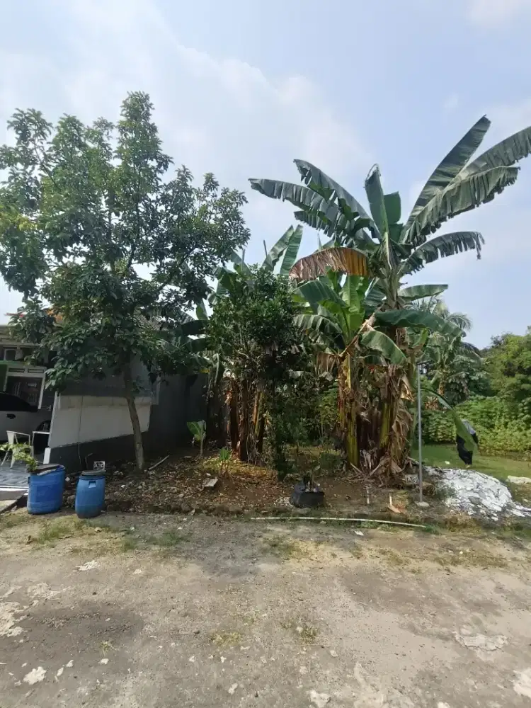 Jual cepat tanah kavling siap bangun