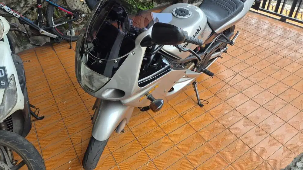 Kawasaki Ninja RR silver
