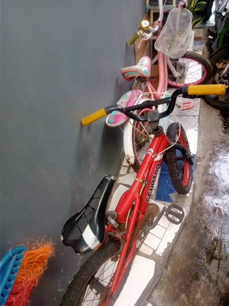 Sepeda anak  second