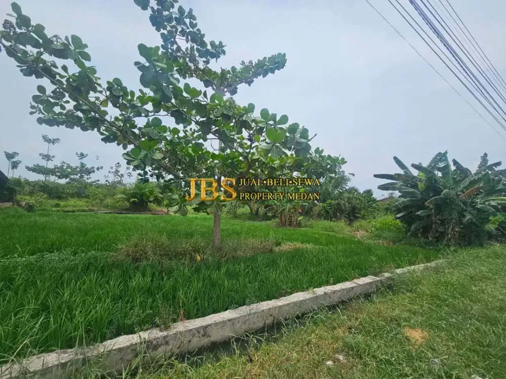 Dijual Tanah Kosong di Jalan Rumbia - Daerah Batang Kuis