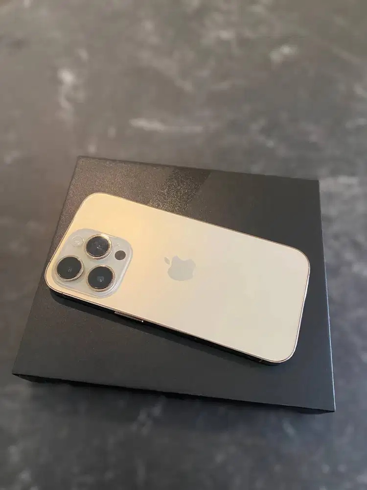 Jual IPhone 13 Pro Max 256GB Ibox/Inter