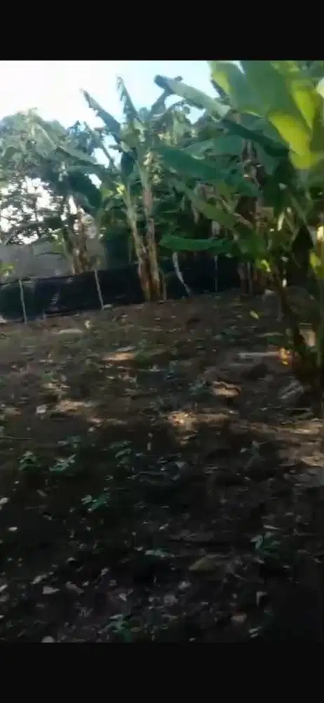 Dijual Cepat Tanah 750 M2 di Belakang SMP 1 Uloe