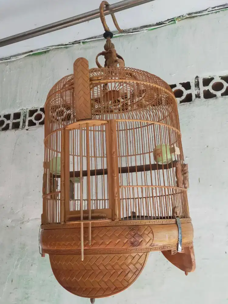 Kandang wambi ceper