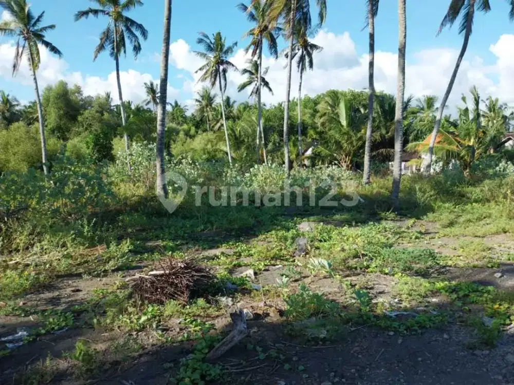 Dijual Tanah Luas View Pantai Di Negara Jembrana Bali