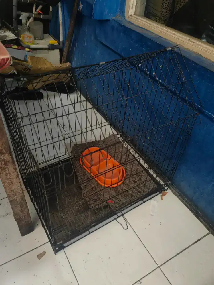 kandang kucing uk 90 siap pakai