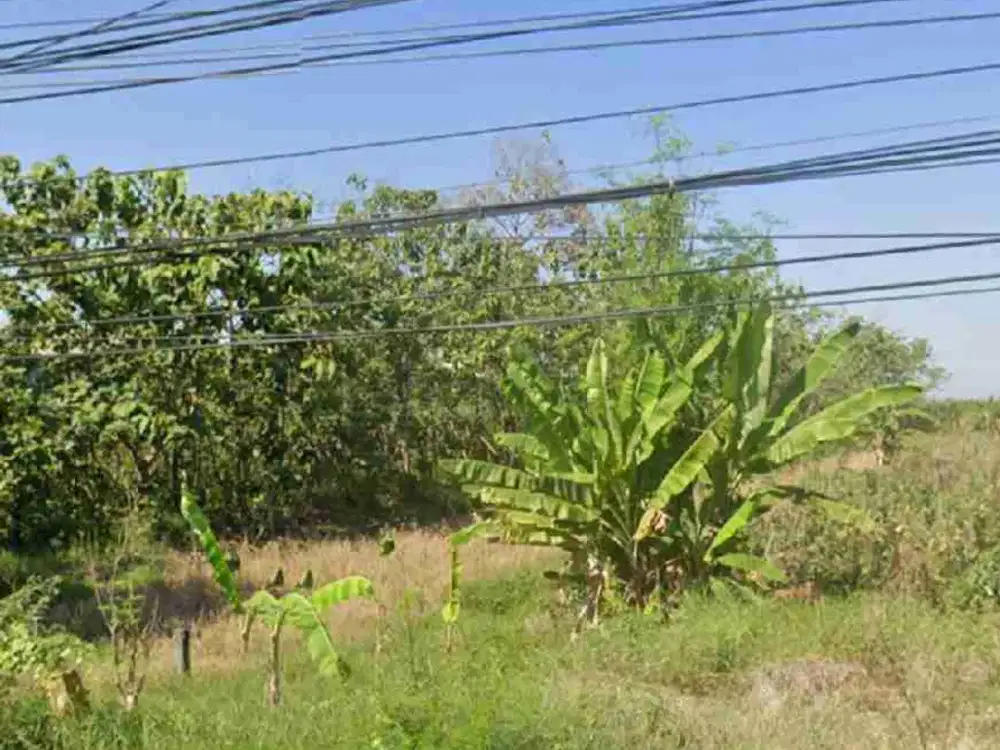 Tanah Kedamean 0 Jalan dekat Citraland Kedamean