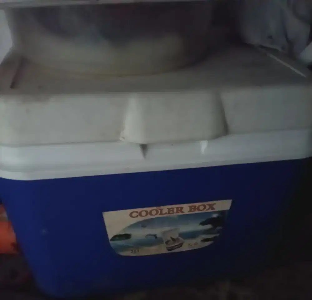 Cooler box 26 l