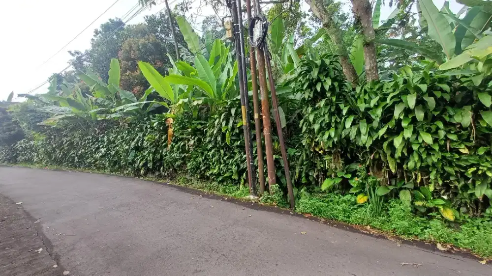 DI JUAL TANAH LUAS BOGOR SHM, TANPA PERANTARA