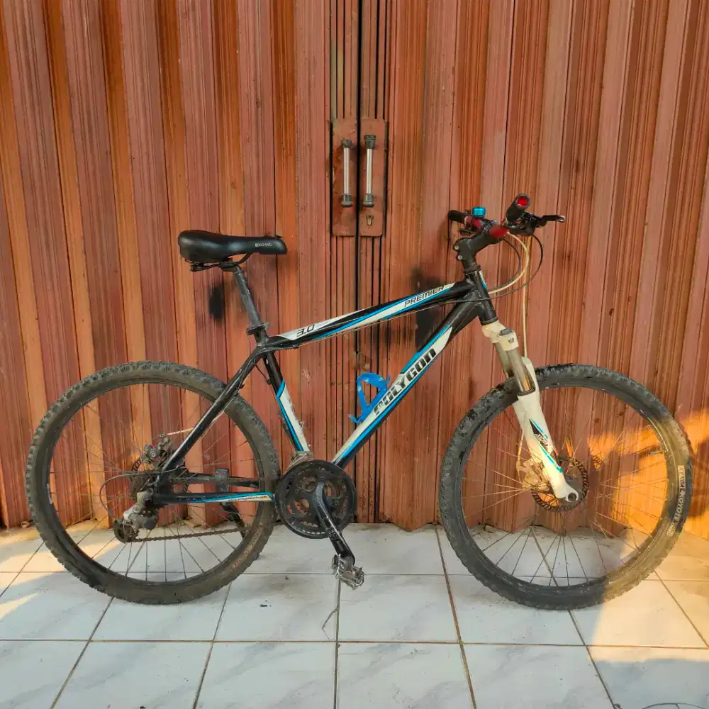 Sepeda Gunung Polygon Premier 3.0