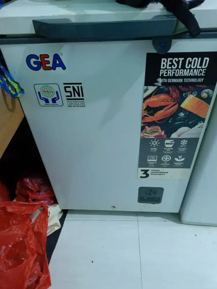 Frezer Box kapasitas 100liter