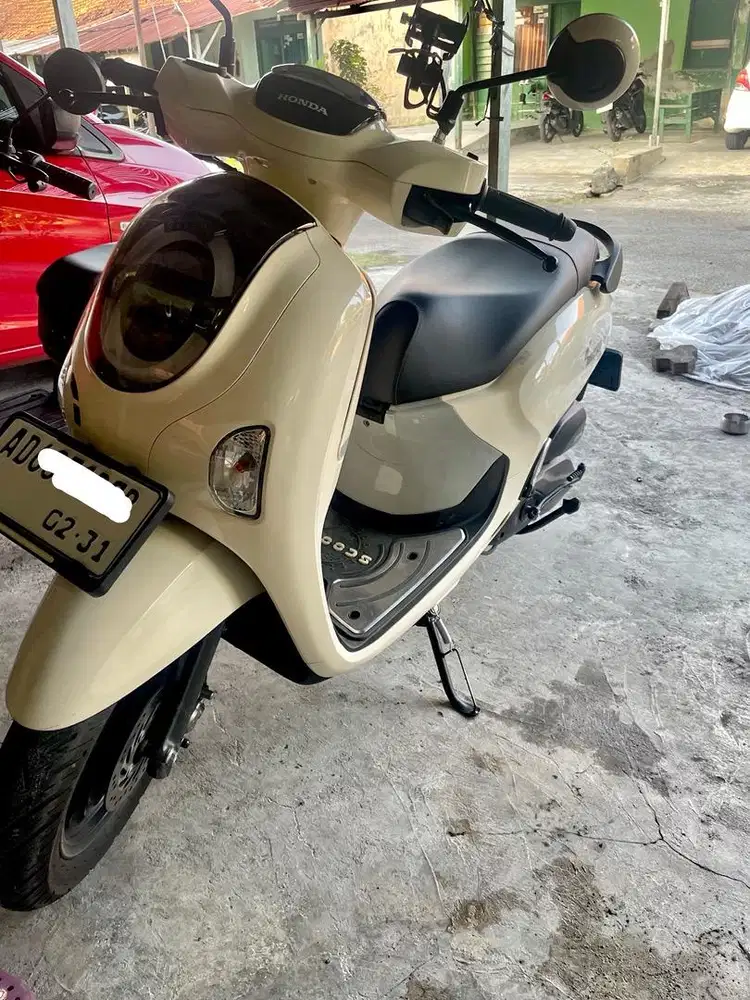 Scoopy Fashion Cream