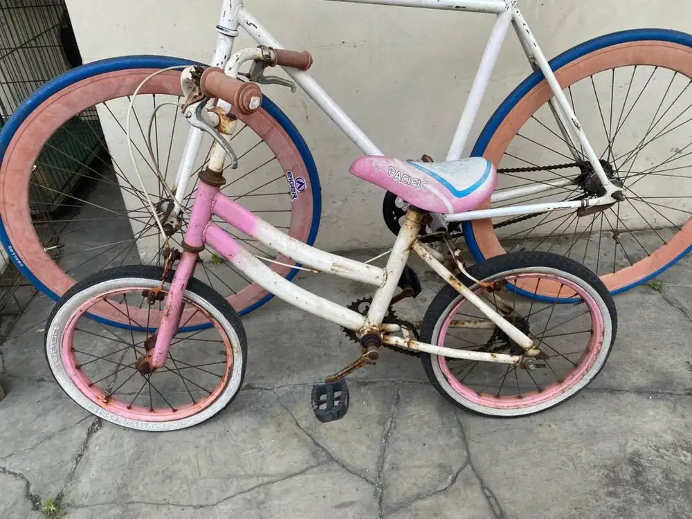 Sepeda anak bekas