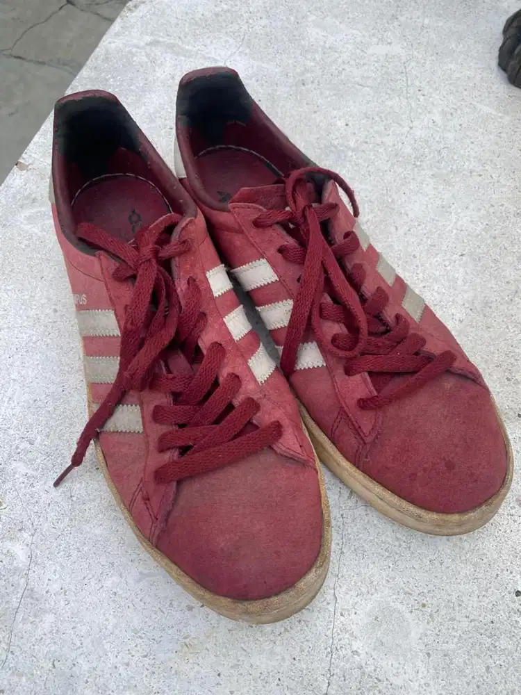 Adidas campus merah