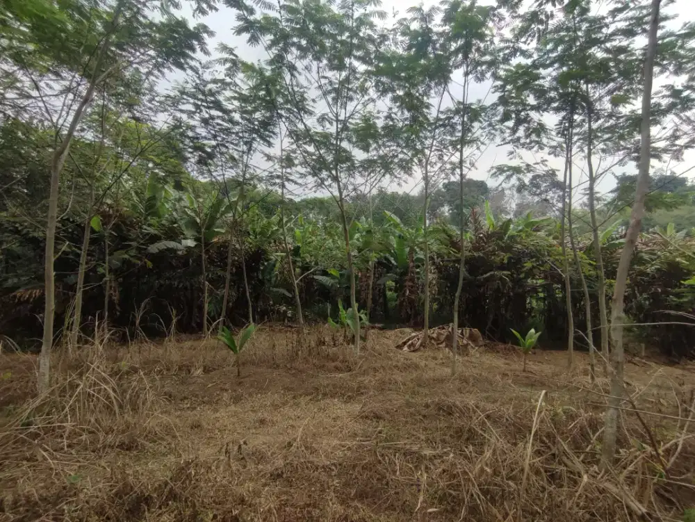 ​Lahan Produktif 2 Ha Tanah Sangat Subur Akses Beton Lokasi Strategis
