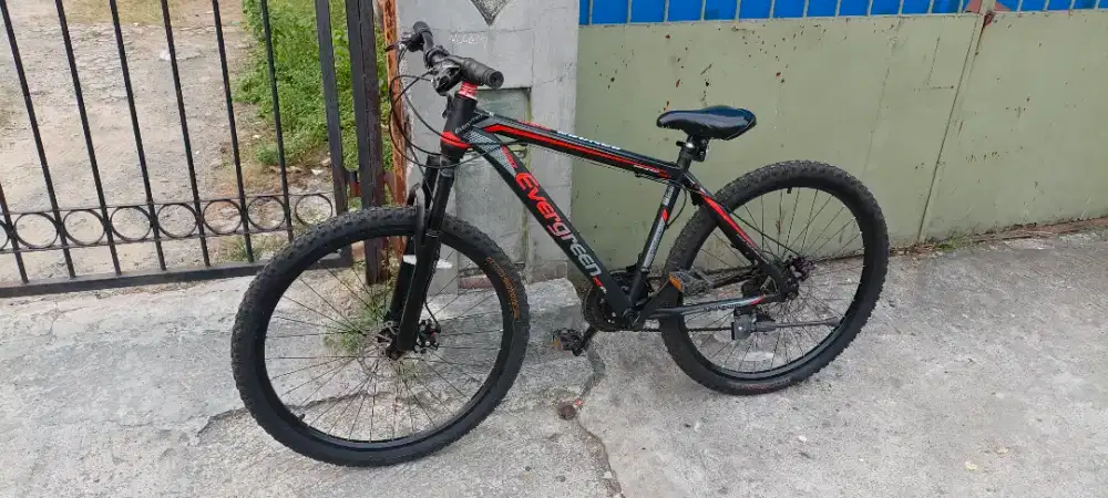 MTB EVERGREEN  RANGGER 530 UK24