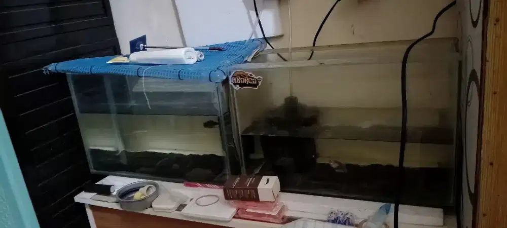 Akuarium uk 40 cm