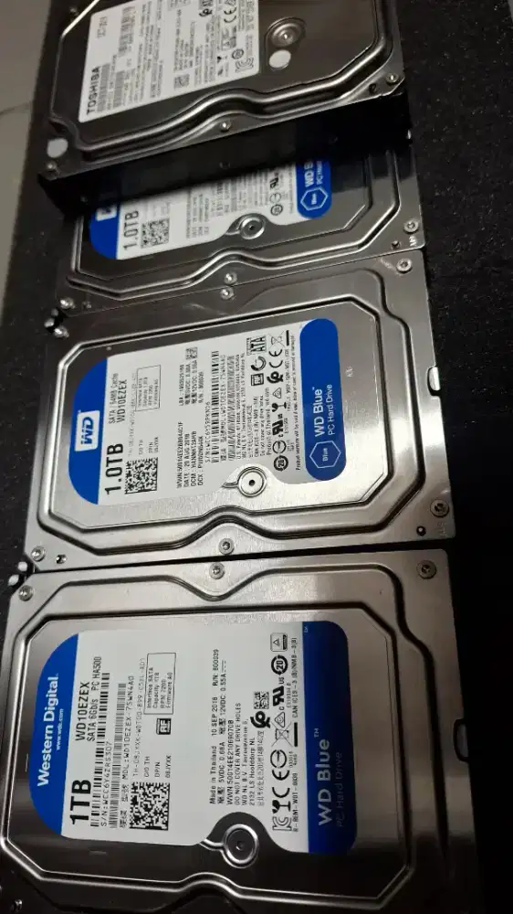 Hardisk HDD 1TB WDC atau TOSHIBA Sentinel 100
