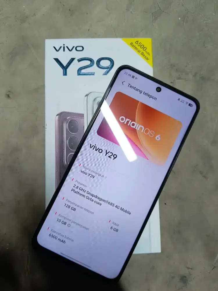 Hp Vivo Y29 6/128