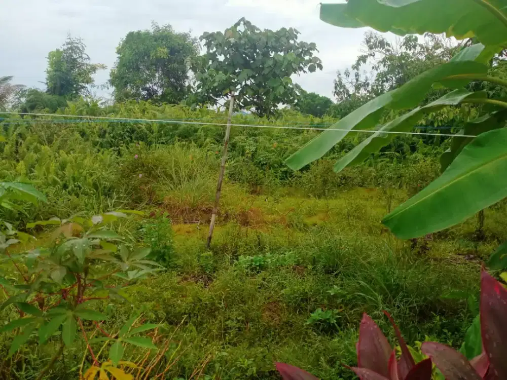 Dijual Tanah Luas Murah SHM
