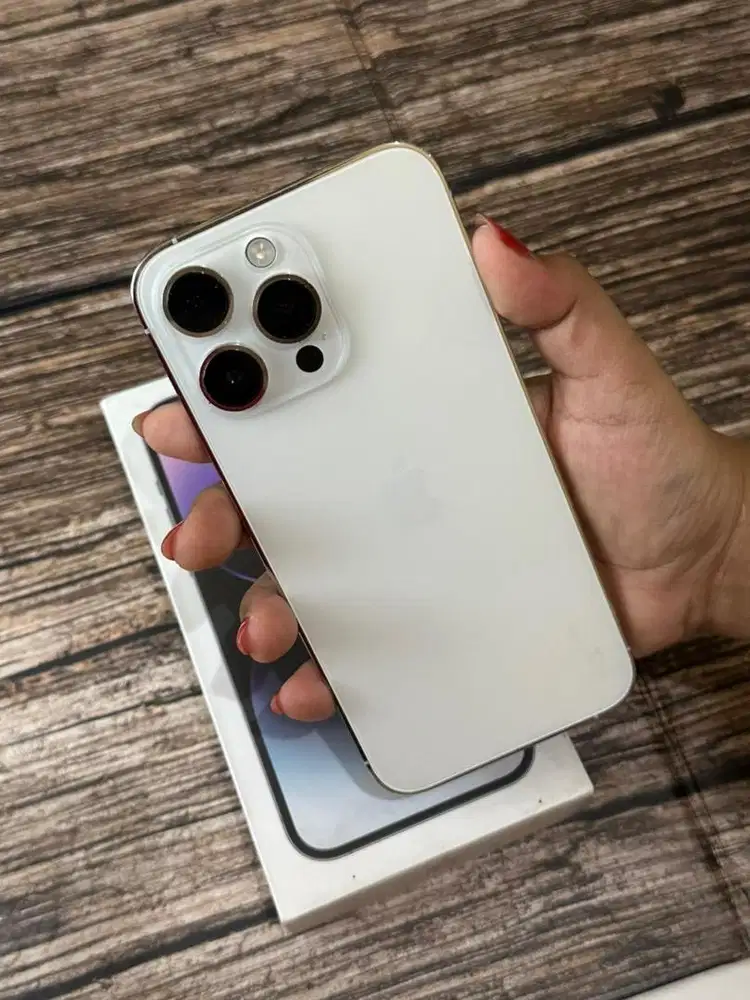 iPhone 14 Pro Max 256GB Silver Beacukai Setara iBox Mulus