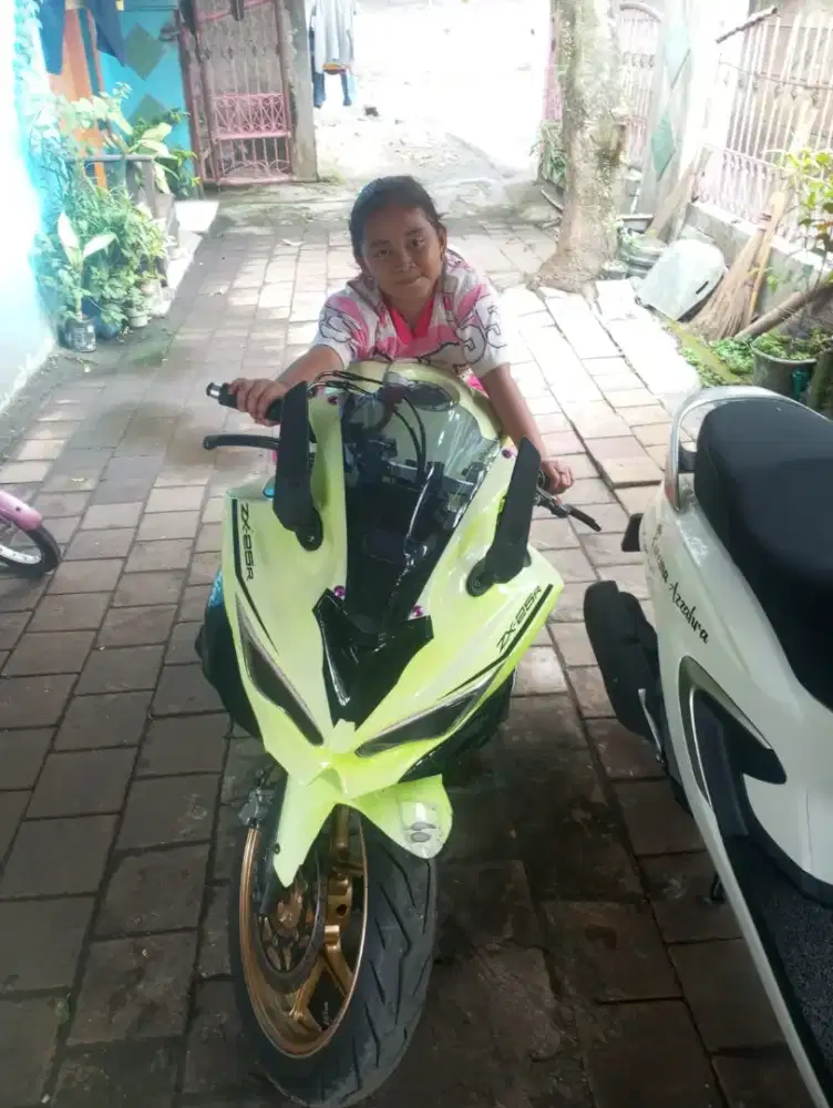 Kawasaki Ninja 250R Tahun 2011