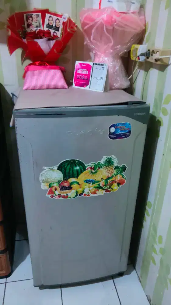 Kulkas Toshiba Satu Pintu