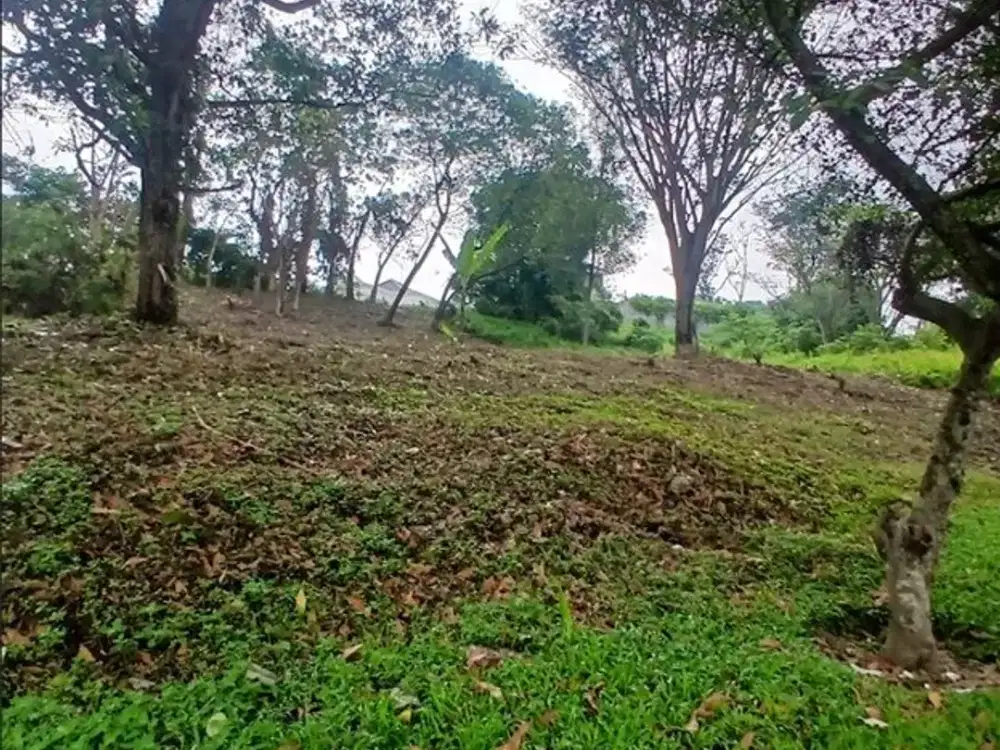 Dijual Tanah Luas 1171m2 di Cluster NorthRidge, Bukit Permata Golf, Sentul