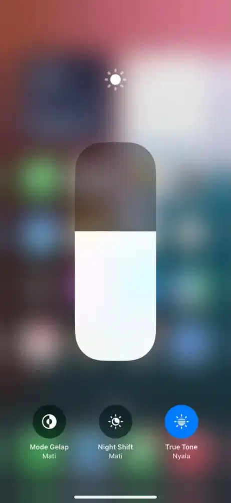 iPhone Xs max 256 iOs 18.7.9