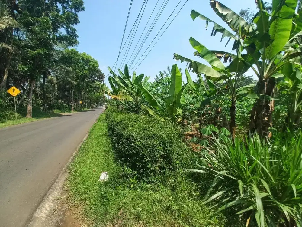 Di jual tanah purbalingga
