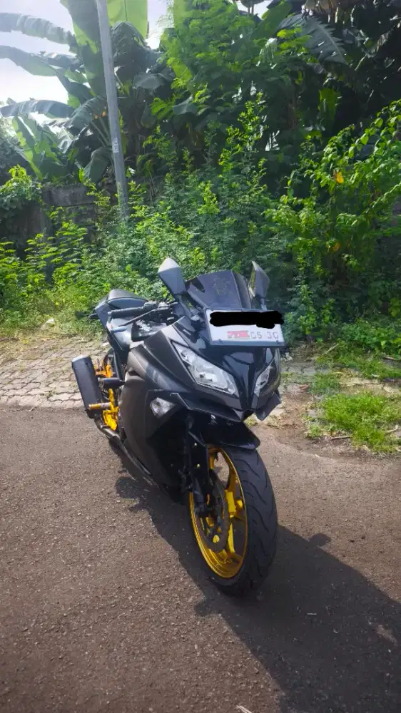 Kawasaki Ninja 250fi (NINFI old)
