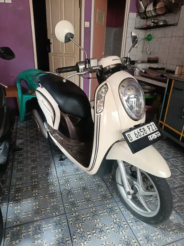 scoopy 2014 pjk pjng greees