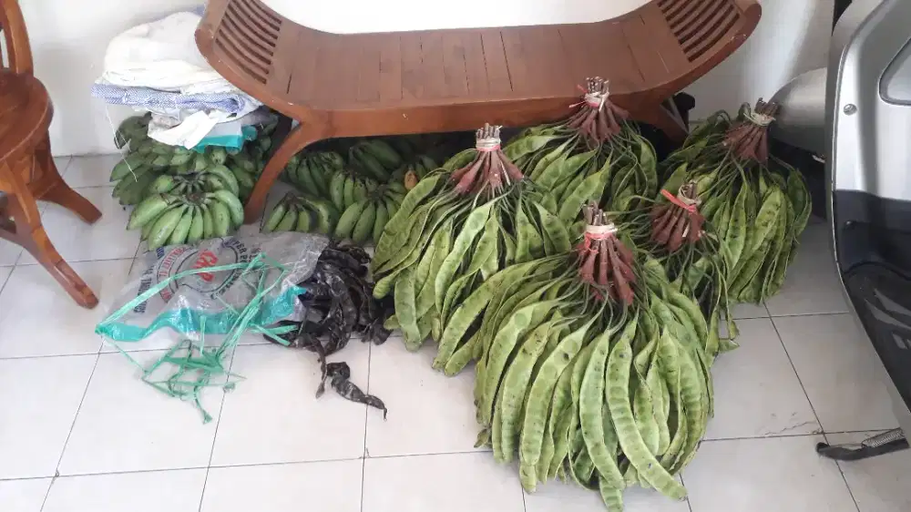 Pete 1 ikat - 100 biji (350Rb) - Lebak Bulus - Jaksel