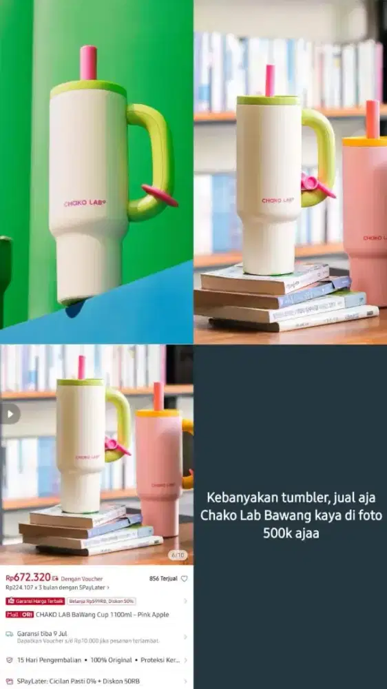 Chakolab Bawang