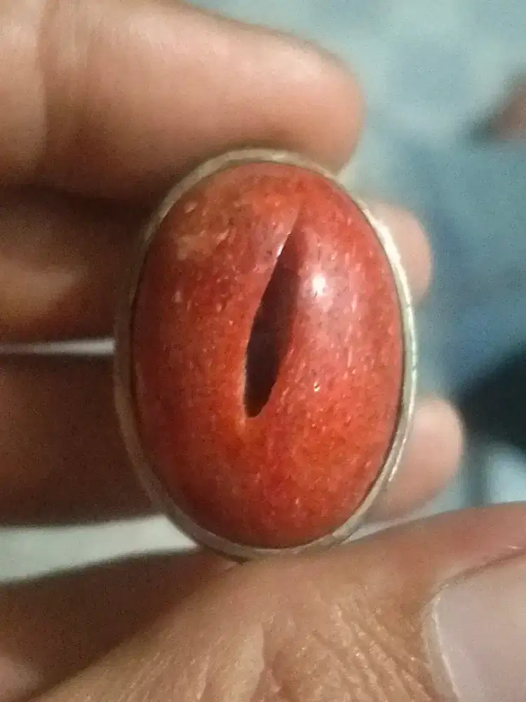 Di jual natural red coral/marjan combong antique