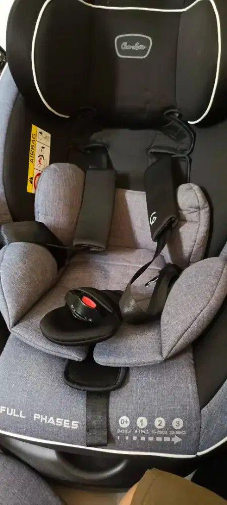 carseat chocolatte