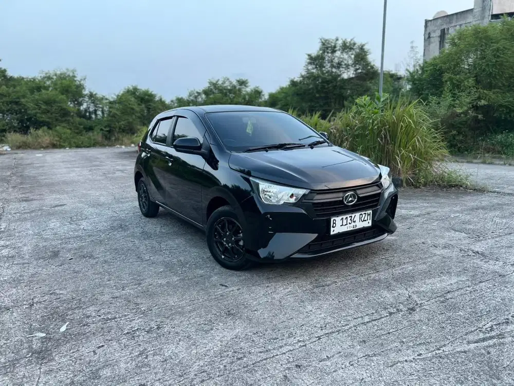 Ayla x 2024 manual