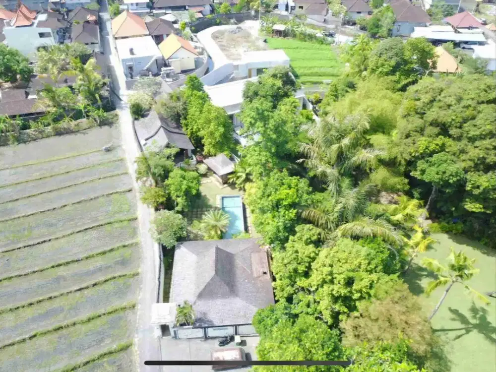 Jual Cepat! Tanah Premium 6.5 Are dekat Sensorium Canggu Bali
